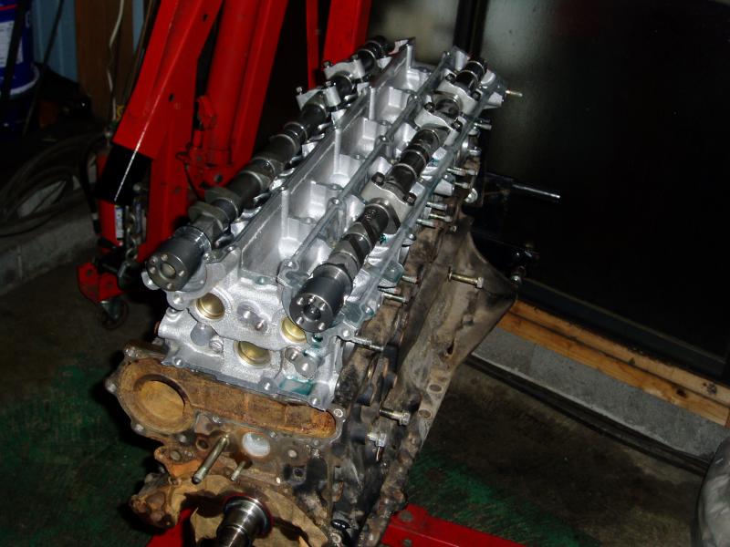 おれのも見てください。